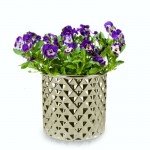 Keramični lonec Moon 09.121.14